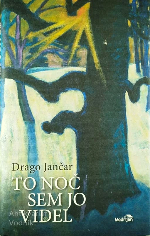 TO NOČ SEM JO VIDEL, Drago Jančar