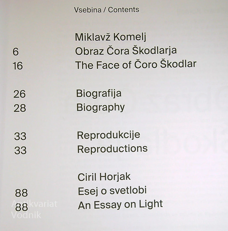ČORO ŠKODLAR; SVETLOBE / FORMS OF LIGHT
