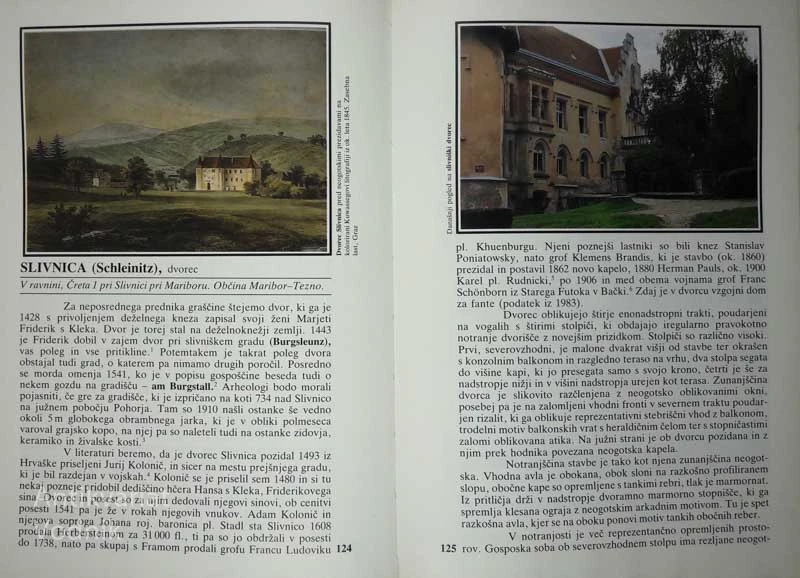 GRAJSKE STAVBE V VZHODNI SLOVENIJI: OBMOČJE MARIBORA IN PTUJA, Ivan Stopar