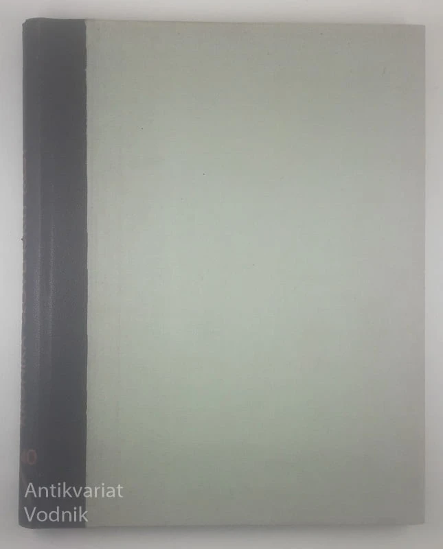 KRONIKA SLOVENSKIH MEST VII
