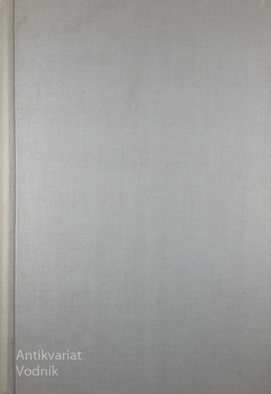 POLITIČNI OKRAJ KAMNIK; TOPOGRAFSKI OPIS, France Stele
