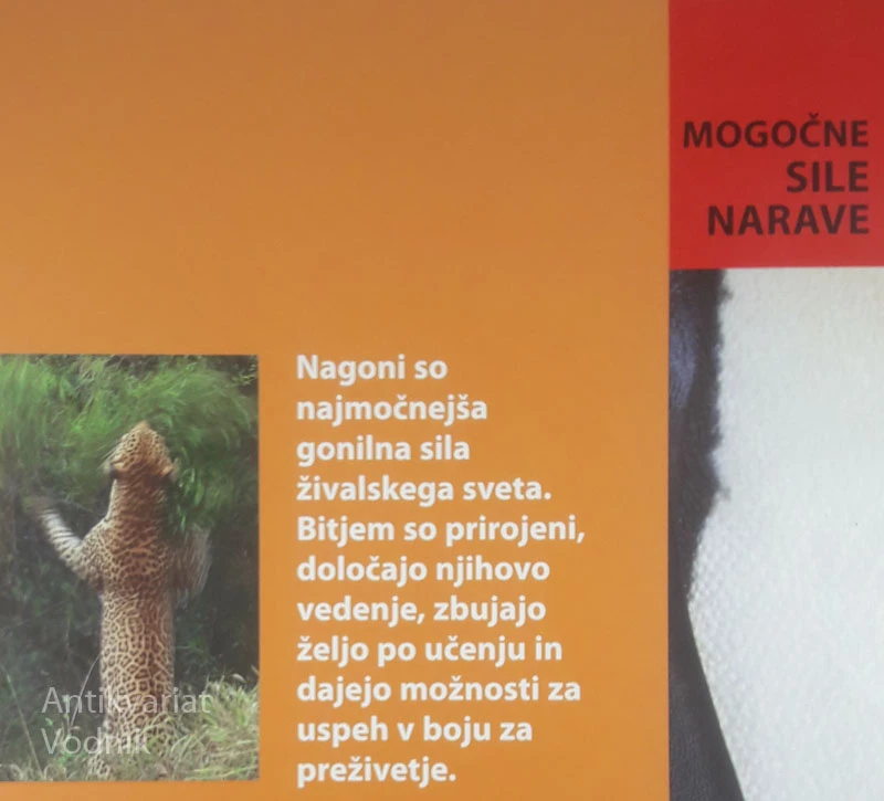 ŽIVALSKI NAGON, več avtorjev