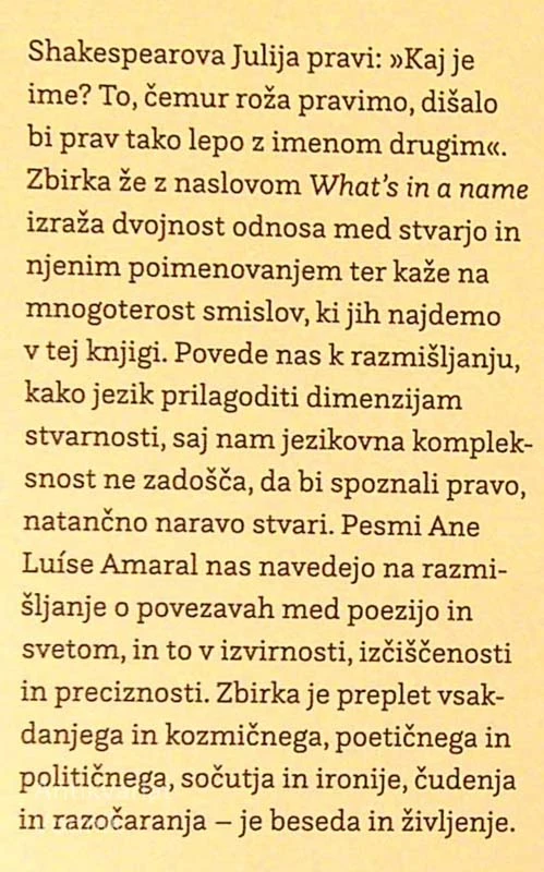 WHAT’S IN A NAME, Ana Luísa Amaral