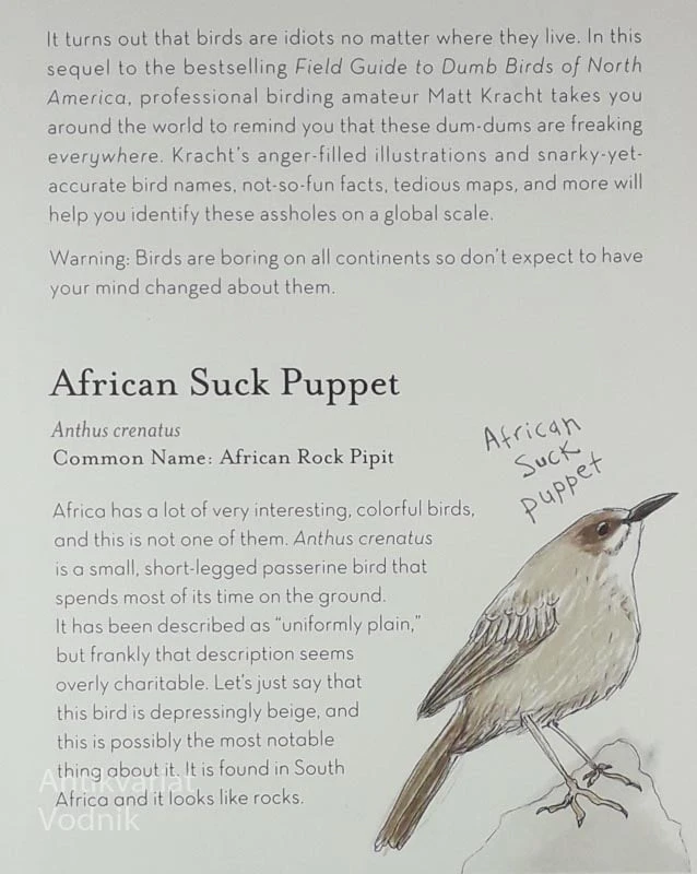 THE FIELD GUIDE TO DUMB BIRDS OF THE WHOLE STUPID WORLD, Matt Kracht