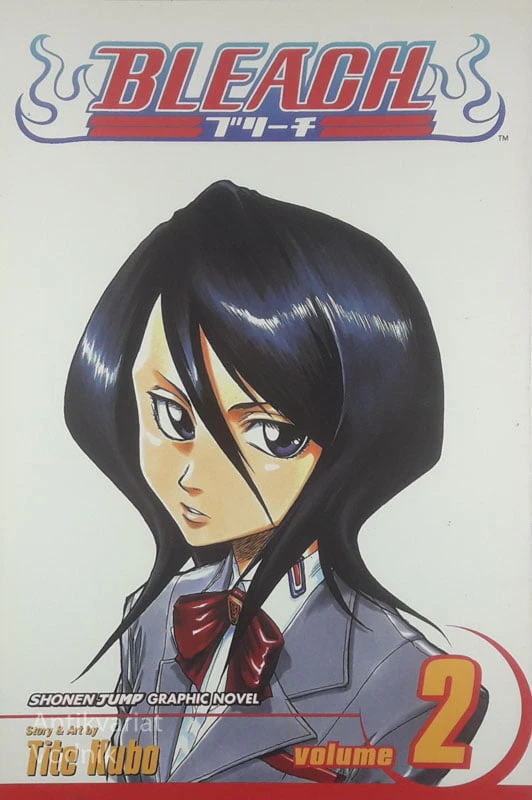BLEACH, Tite Kubo (1 – 21)