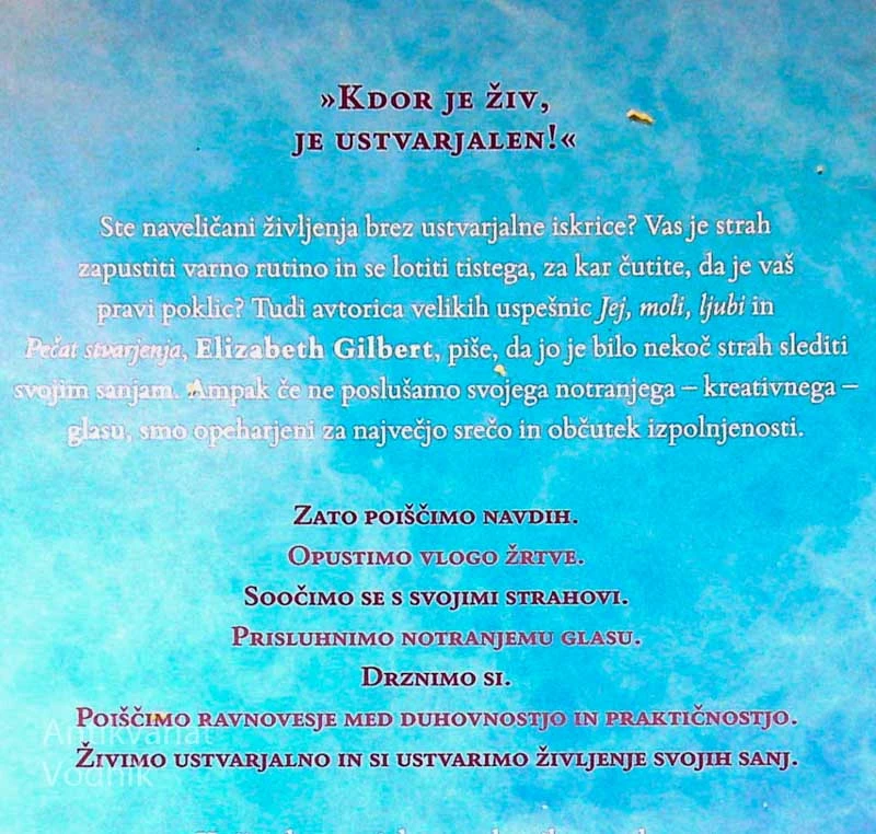 VELIKA ČAROVNIJA; OPUSTIMO STRAH IN ŽIVIMO USTVARJALNO, Elizabeth Gilbert