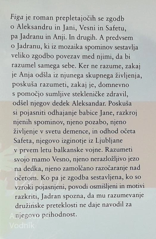 FIGA, Goran Vojnović