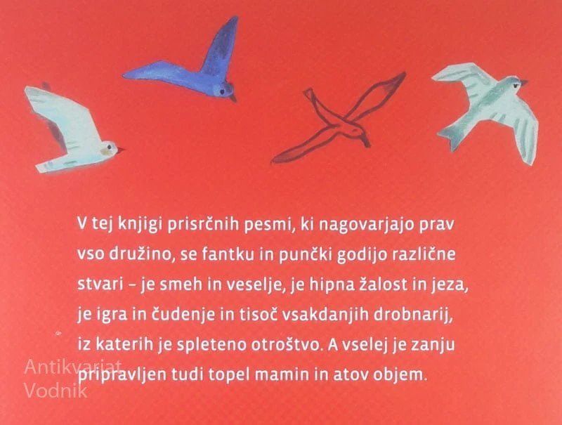 FANTEK IN PUNČKA, Blaž Lukan (ilustrirala Ana Zavadlav)