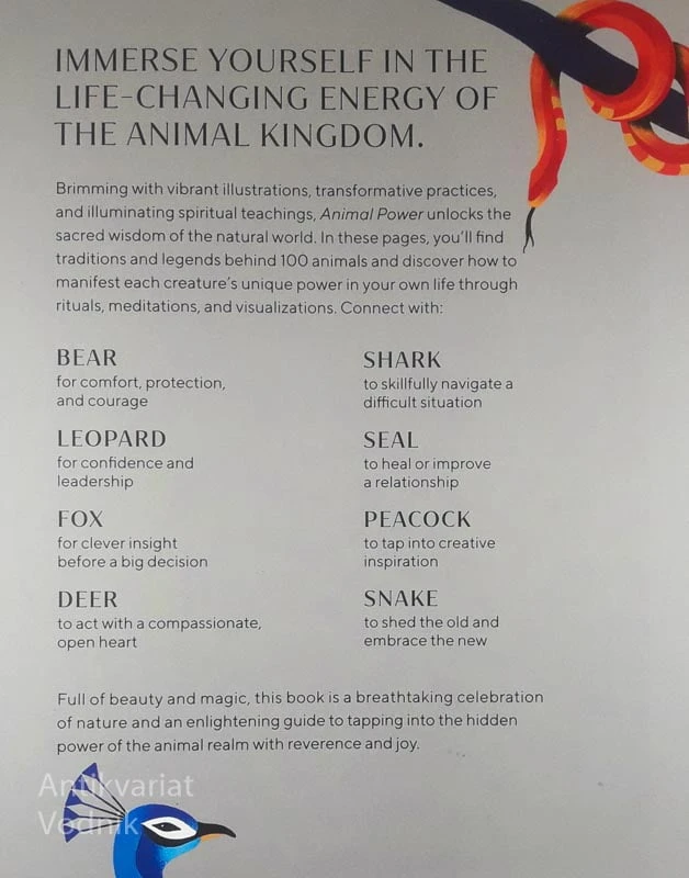 ANIMAL POWER, Alyson Charles