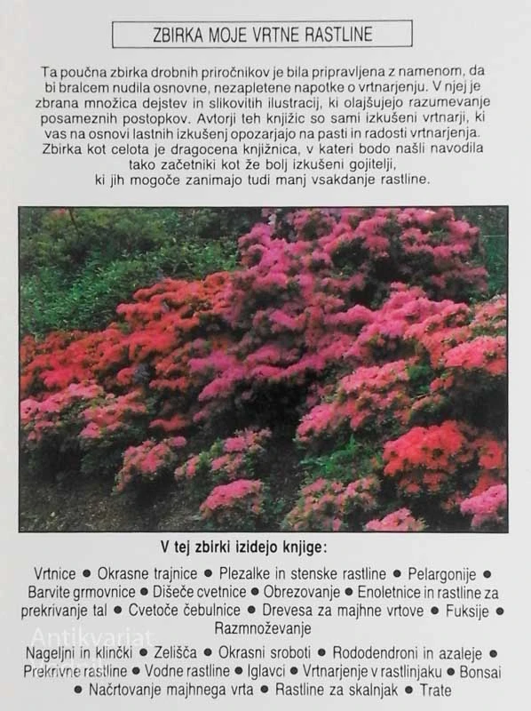 RODODENDRONI IN AZALEJE, Ann Bonar