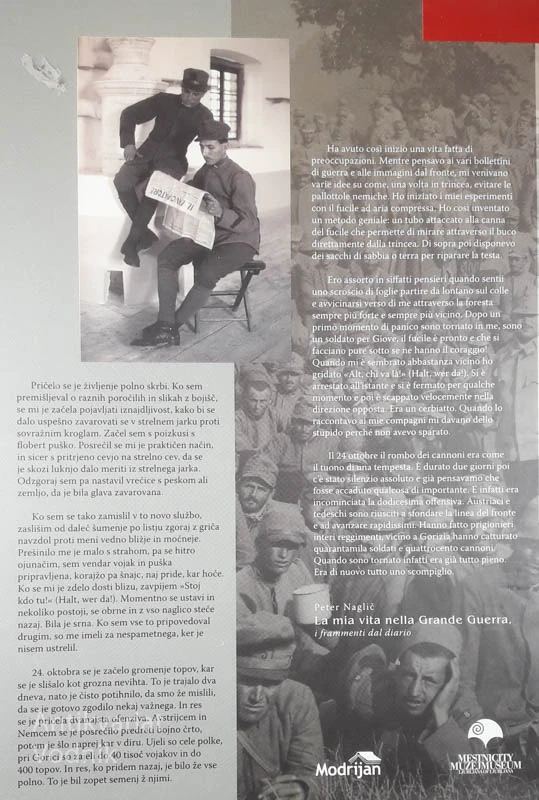 MOJE ŽIVLJENJE V SVETOVNI VOJNI 1914-1918, Peter Naglič