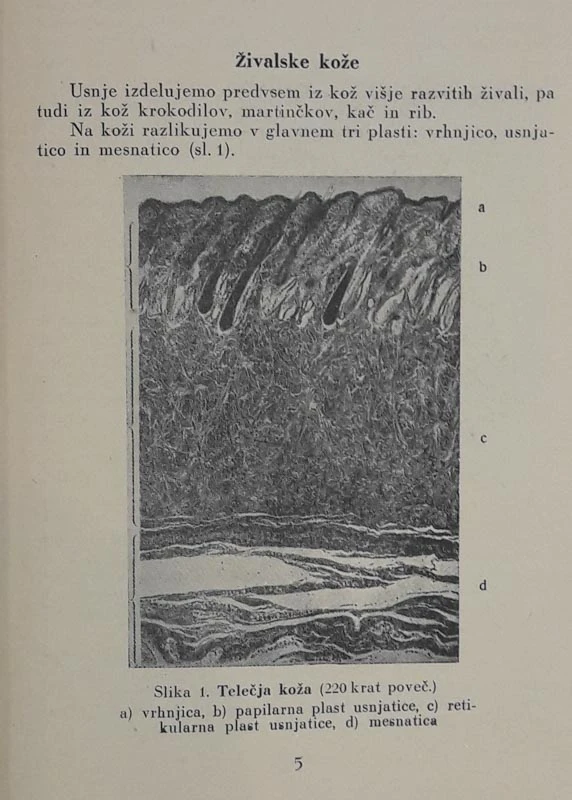 PRIROČNIK ZA USNJARJE, Mali Tone