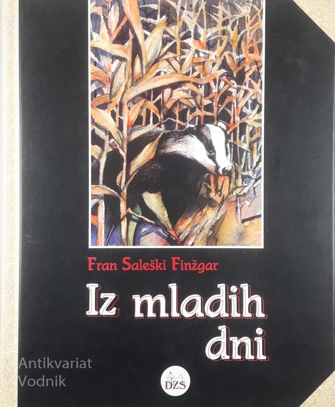 IZ MLADIH DNI, Fran Saleški Finžgar