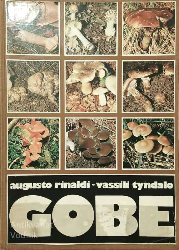 GOBE, Augusto Rinaldi in Vassili Tyndalo