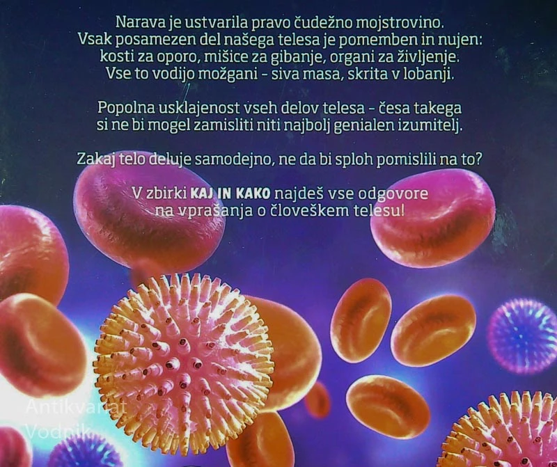 ČLOVEŠKO TELO; ČUDEŽ NARAVE, Sabina Rachlé