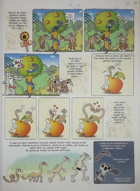 BUTALCI; OPERACIJA KURA, po motivih F. Milčinskega, priredil D. Kastelic
