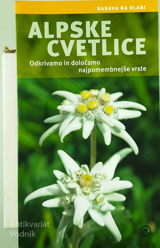 ALPSKE CVETLICE, Helga Hoffman