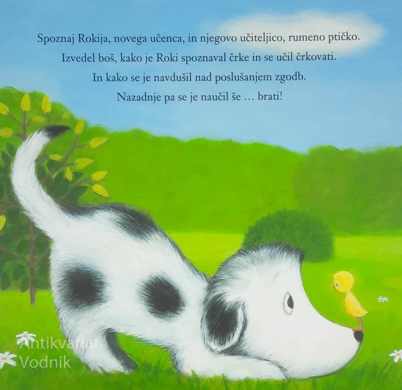 KAKO SE JE ROKI NAUČIL BRATI, Tad Hills