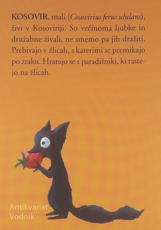 KOSOVIRJA NA LETEČI ŽLICI, Svetlana Makarovič