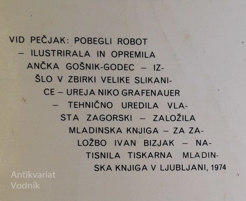 POBEGLI ROBOT, Vid Pečjak