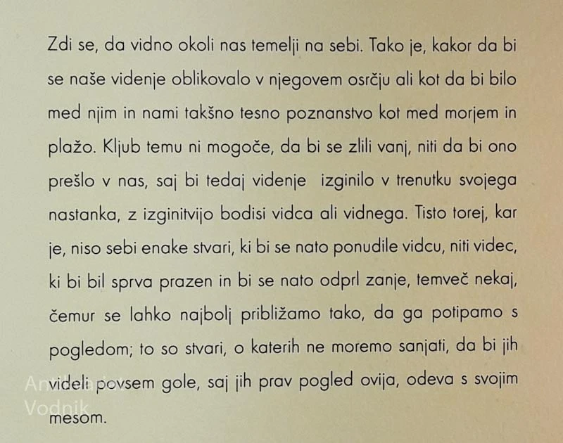 Maurice Merleau-Ponty, VIDNO IN NEVIDNO