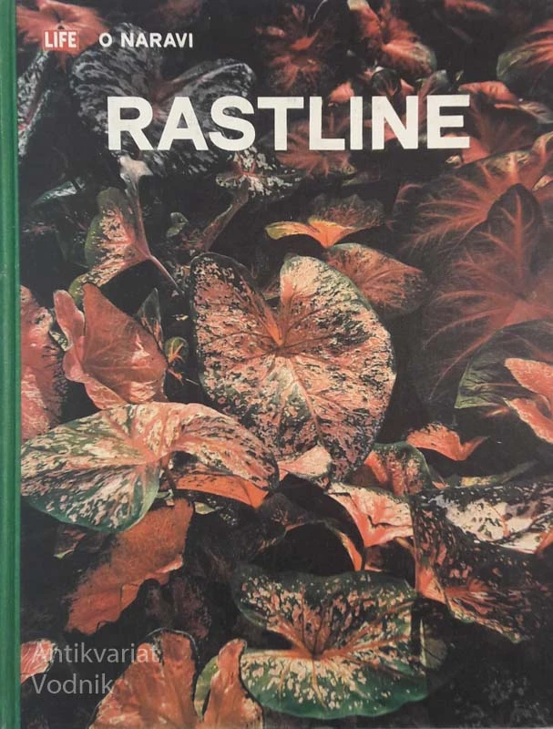RASTLINE, Frits W. Went