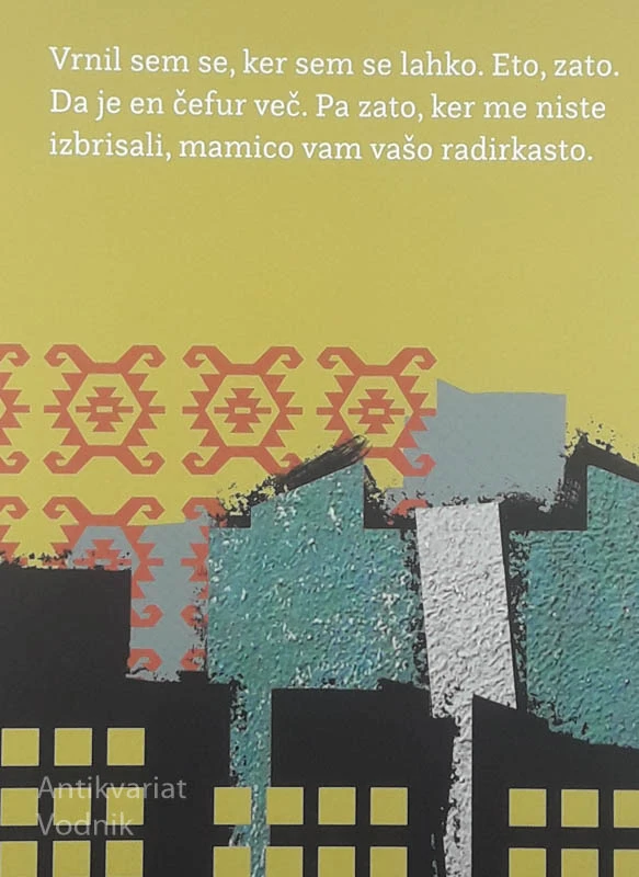 ĐORĐIĆ SE VRAČA, Goran Vojnović