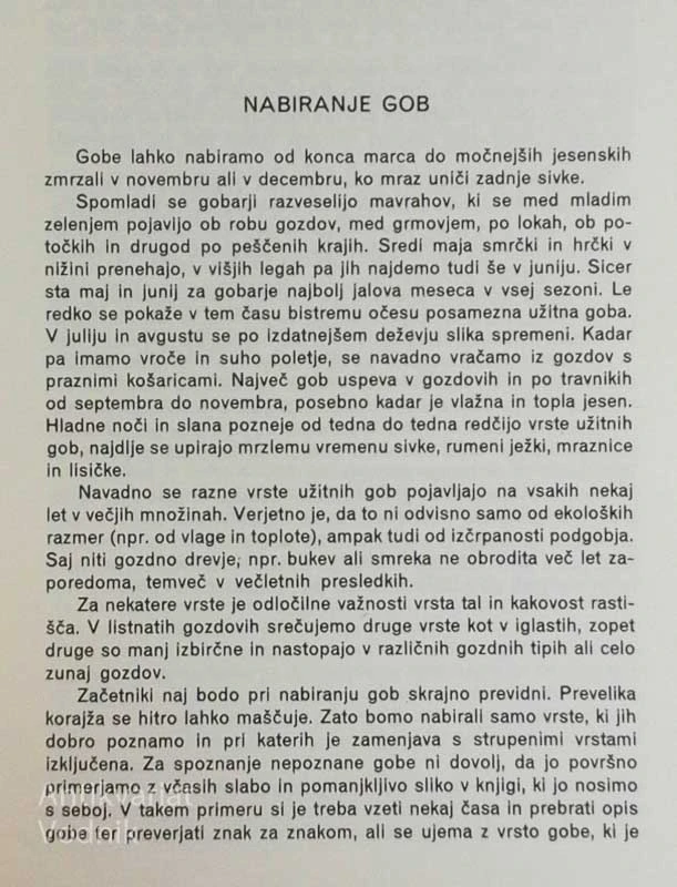 GOBE, Viktor Petkovšek, Ivan Stanič