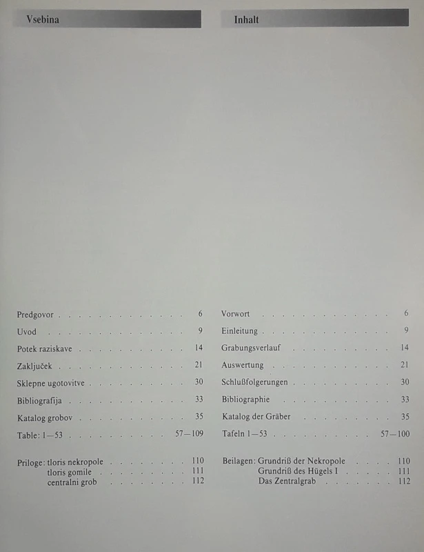 NOVO MESTO III, Tone Knez