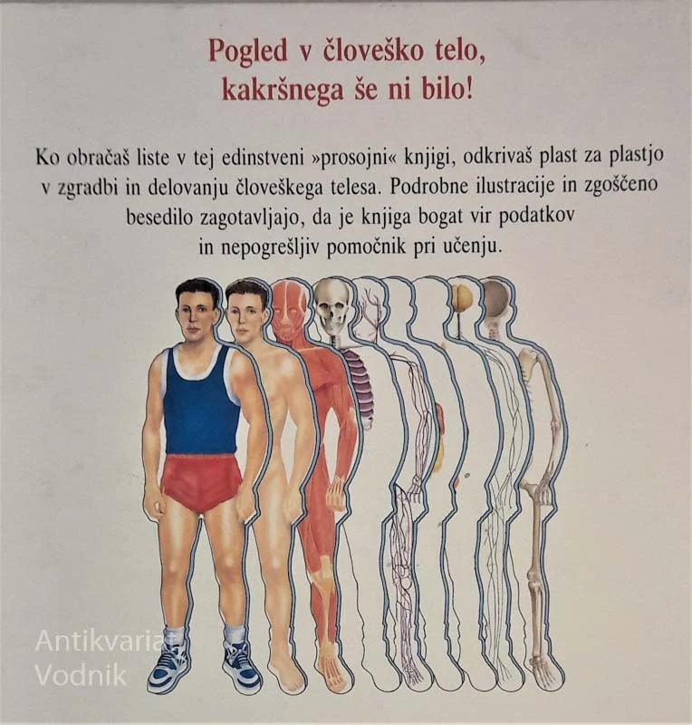 ČLOVEŠKO TELO