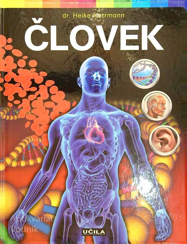 ČLOVEK, Heike Herrmann