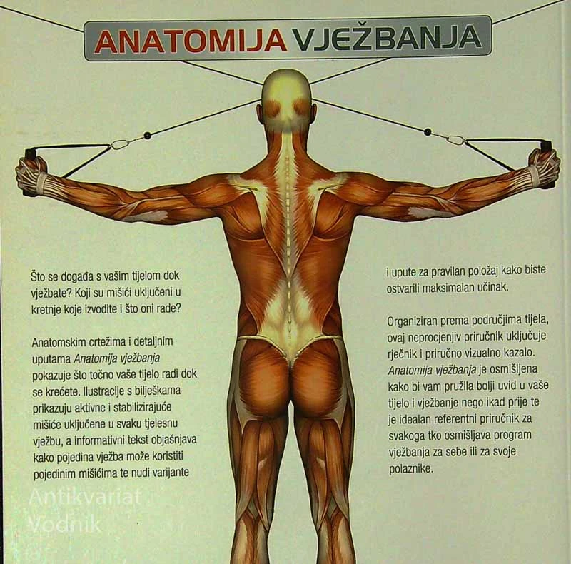 ANATOMIJA VJEŽBANJA, Pat Manocchia