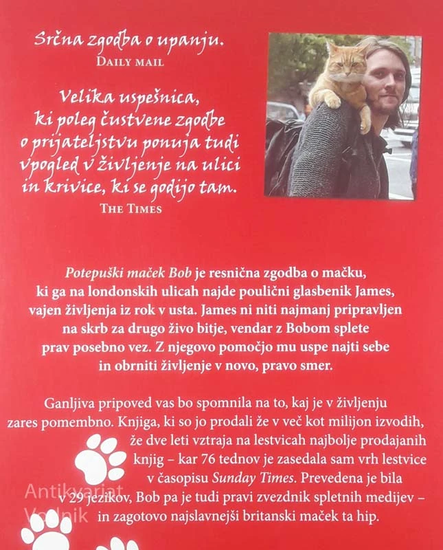 POTEPUŠKI MAČEK BOB, James Bowen