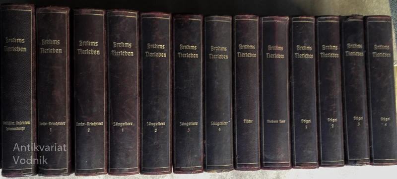 Brehms Tierleben. Allgemeine Kunde des Tierreichs v 13 knjigah