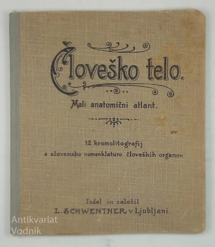ČLOVEŠKO TELO: MALI ANATOMIČNI ATLAS