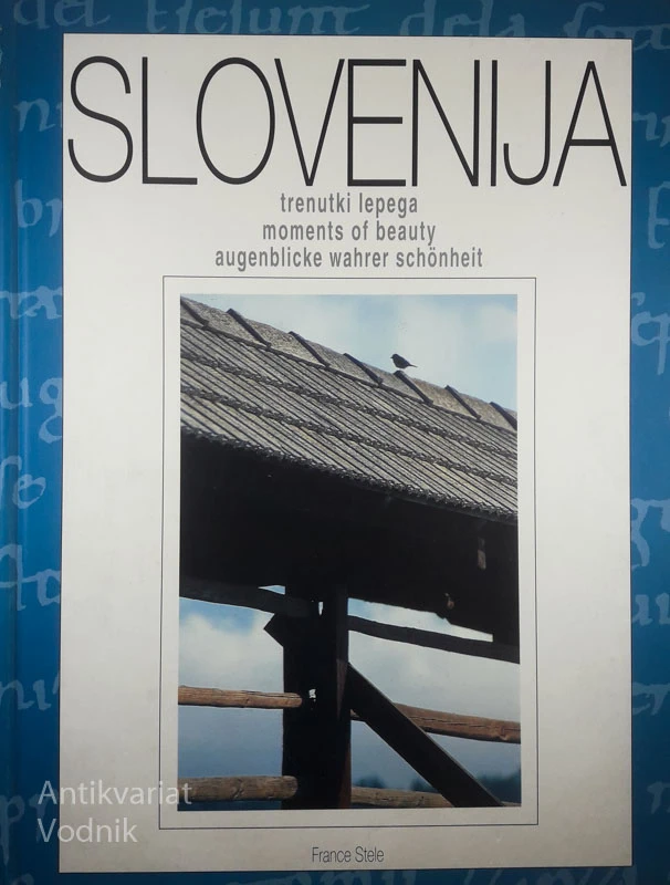 SLOVENIJA TRENUTKI LEPEGA, Franc Stele