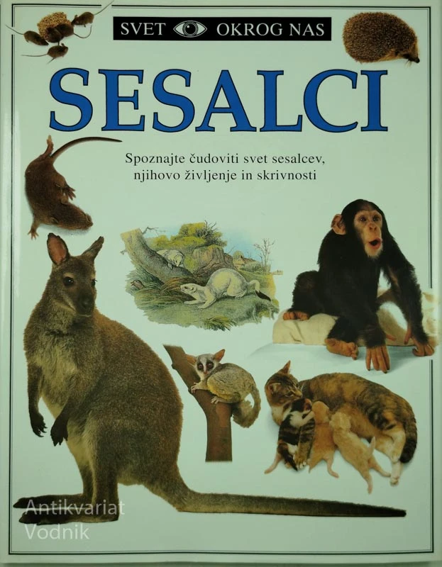 SESALCI