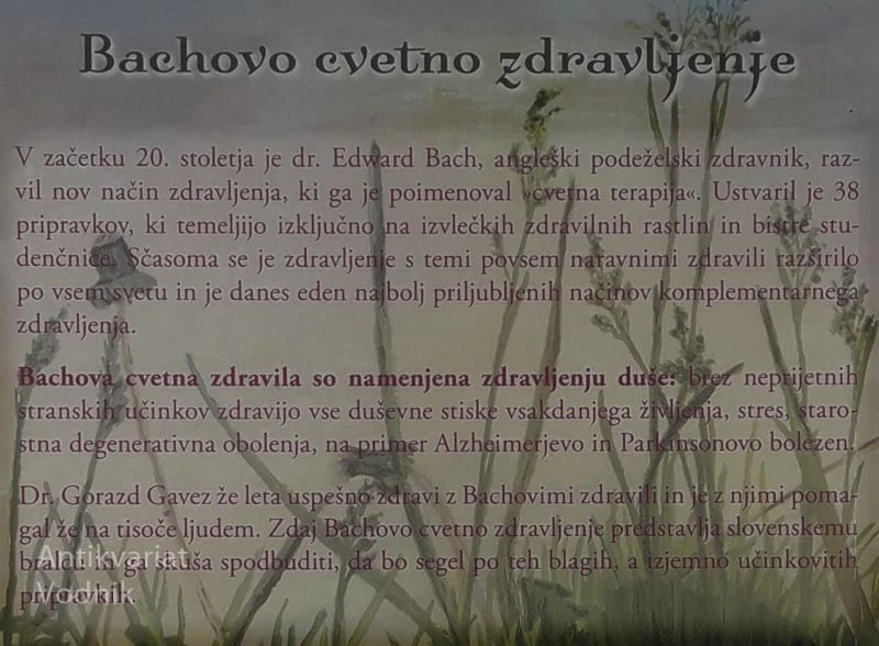 BACHOVO CVETNO ZDRAVLJENJE, Gorazd Gavez