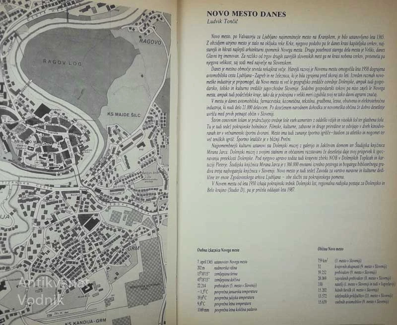 NOVO MESTO SKOZI ČAS, več avtorjev