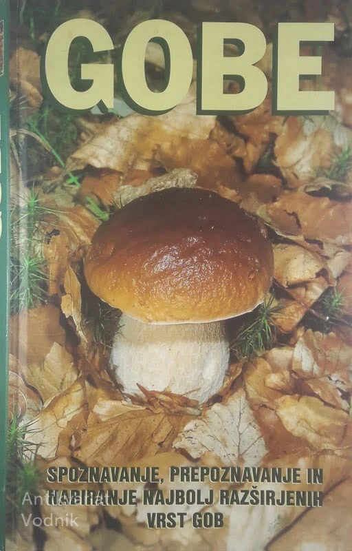 GOBE; SPOZNAVANJE, PREPOZNAVANJE IN NABIRANJE NAJBOLJ RAZŠIRJENIH VRST GOB, Ettore Bielli