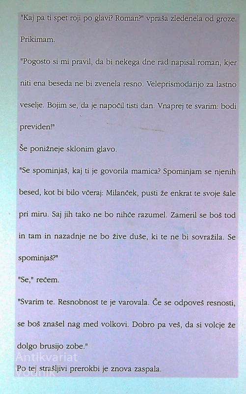 POČASNOST, Milan Kundera