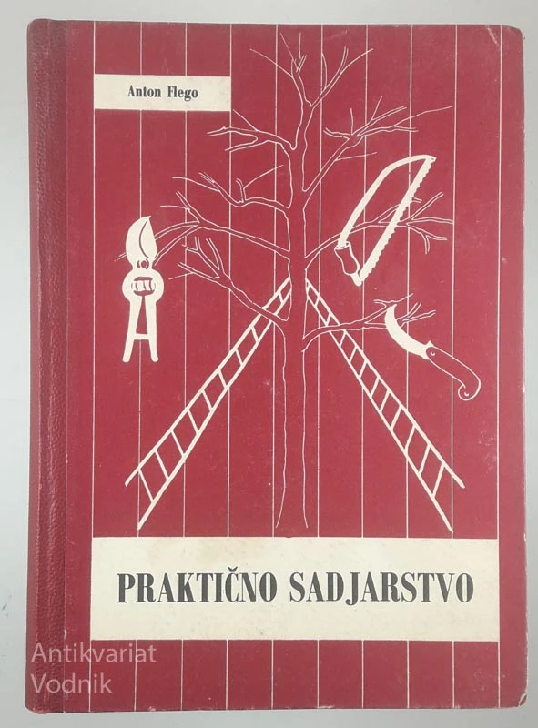 PRAKTIČNO SADJARSTVO, Anton Flego