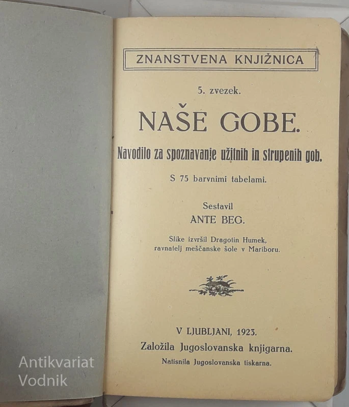 NAŠE GOBE, Ante Beg