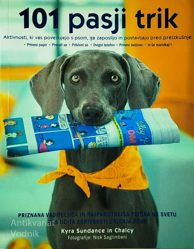 101 PASJI TRIK, Kyra Sundance in Chalcy