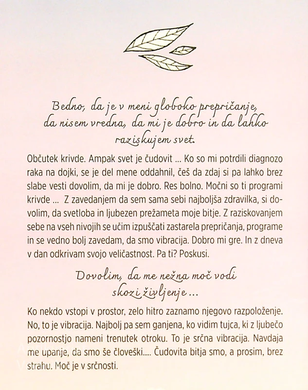 NEŽNA MOČ, Špela Sečnik