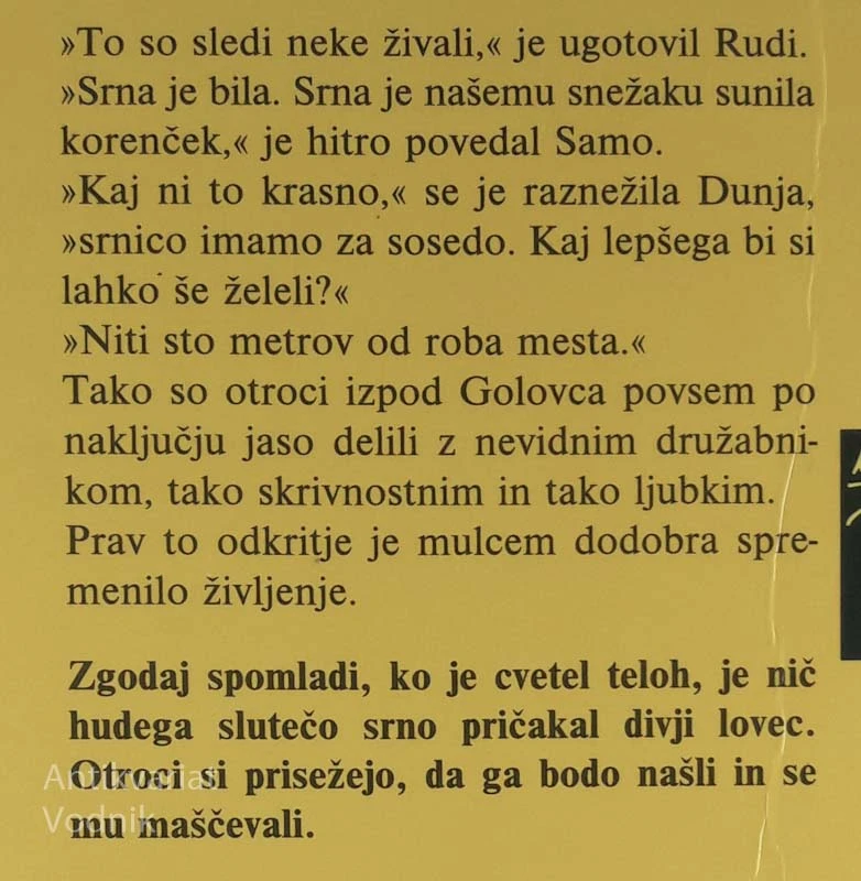 RDEČI TELOH, Dim Zupan