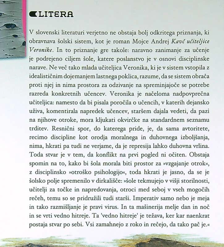 KAVČ UČITELJICE VERONIKE, Mojca Andrej