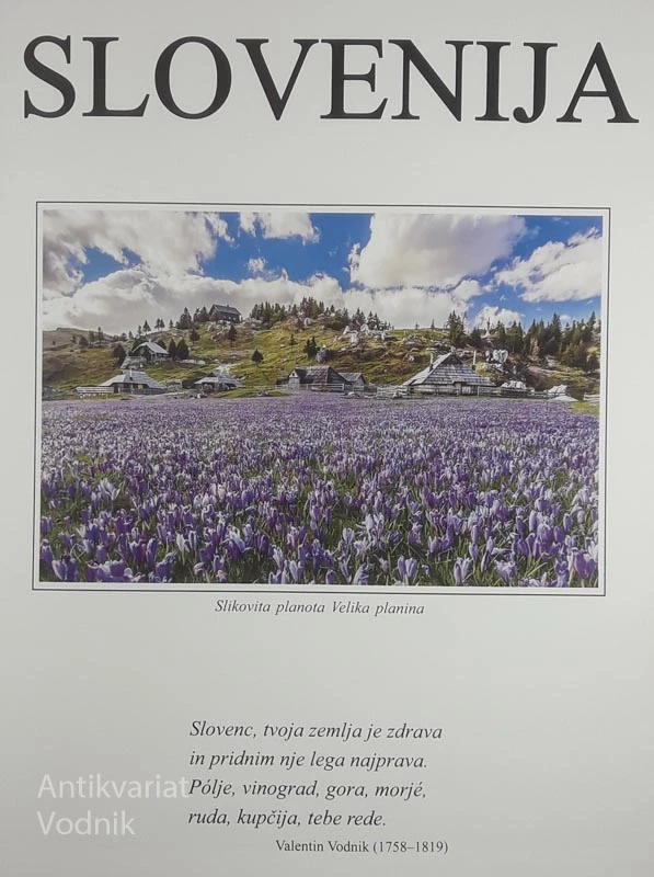 SLOVENIJA, zgodovina-kultura-umetnost
