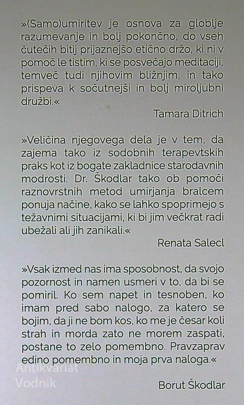 SAMOUMIRITEV, Borut Škodlar