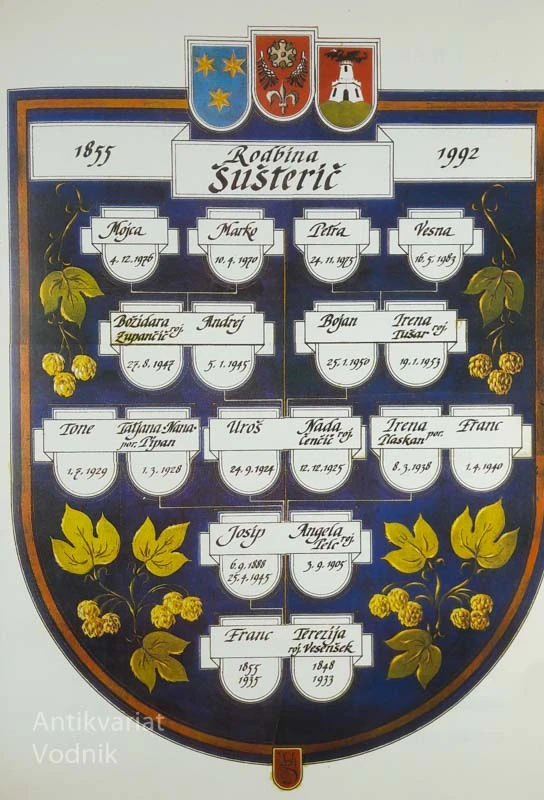 KORENINE IN SPOMINI RODBINE ŠUŠTERIČ IZ ŽALCA, Boris Golec